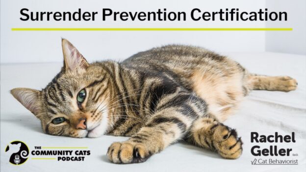 Online Course – 5/17/23 – Surrender Prevention Certification Workshop – Community Cats Podcast (small fee applies)