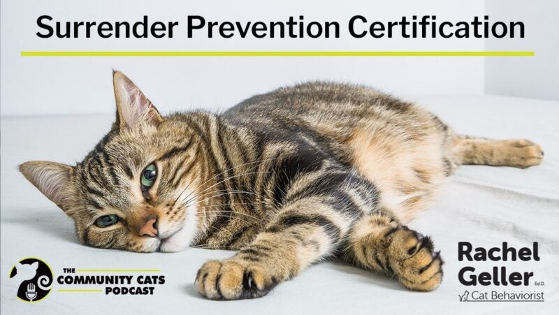 Surrender Prevention Certification from Community Cats Podcast