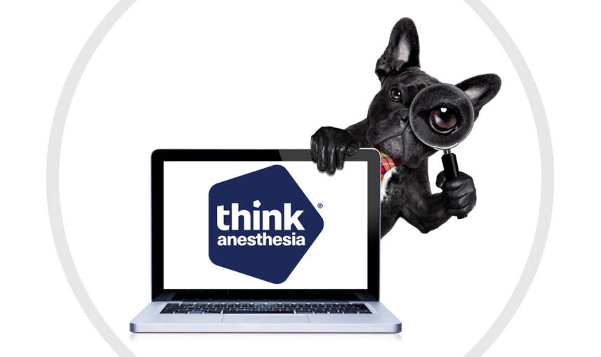 Dog sits behind laptop screen with Think Anesthesia logo