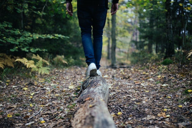 Man walks on tree in the forest