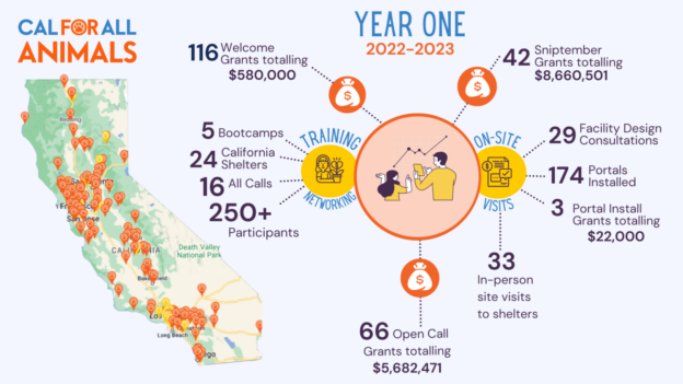 What Love Looks Like