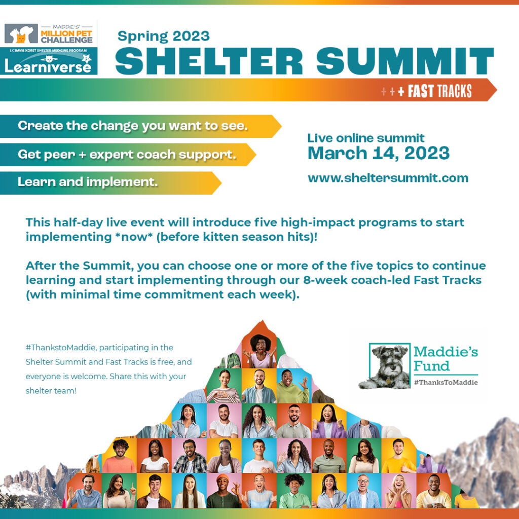 Social share image Spring 2023 Shelter Summit and Fast Tracks
