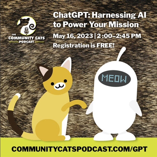 Webinar – 5/16/23 – ChatGPT: Harnessing AI to Power Your Mission – Community Cats Podcast