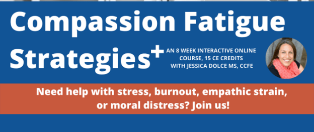 Online Course – Starts 10/21/24 – Compassion Fatigue Strategies Plus – University of Florida – Maddie’s Shelter Medicine Program (fee applies)