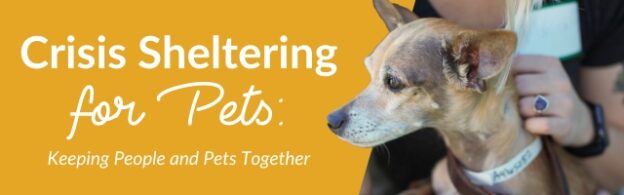 Webinar – 4/11/23 – Crisis Sheltering for Pets: Keeping People and Pets Together – HASS