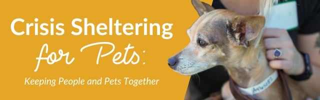 Crisis Sheltering for Pets