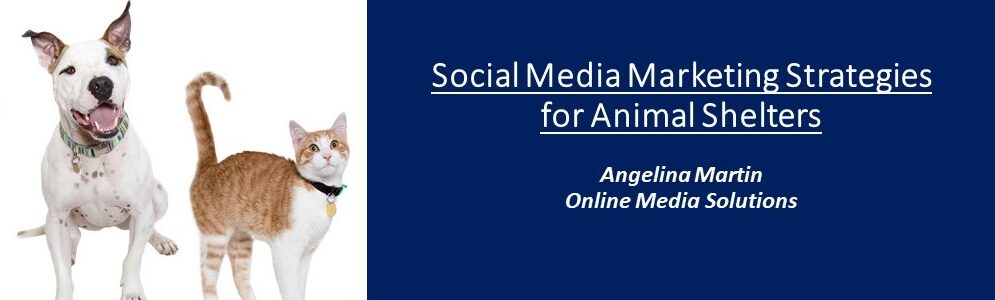 Social Media Marketing for Animal Shelters