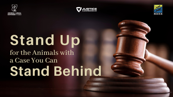Stand Up for the Animals with a Case you can Stand Behind