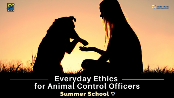 Everyday Ethics for ACOs