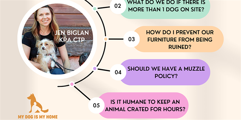 My Dog Is My Home Office Hours