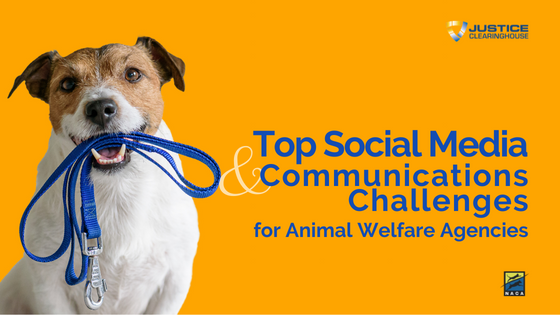 Top Social Media and Communications Challenges webinar