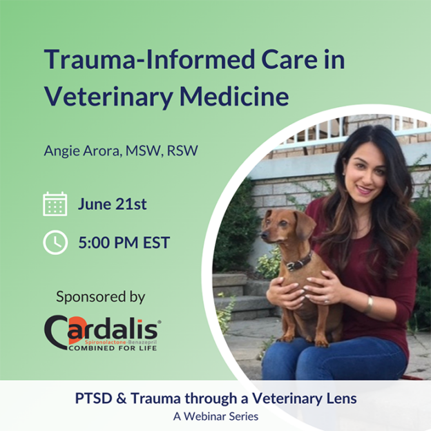 Webinar – 6/21/23 – Trauma-Informed Care in Vet Med – Not One More Vet
