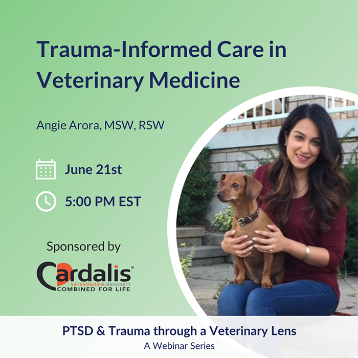 Trauma-Informed Care in Veterinary Medicine webinar