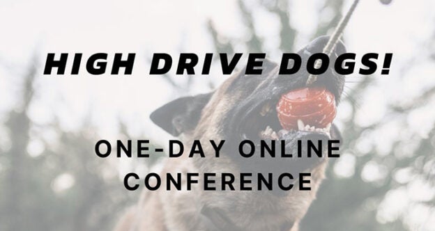 Online Conference – 7/8/23 – High Drive Dogs! One-Day Online Conference – FDSA (fee applies)