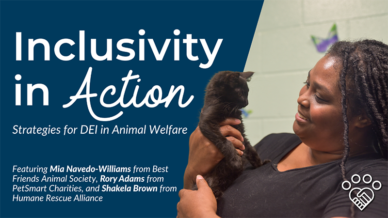 Inclusivity in Action - Strategies for DEI in Animal Welfare webinar