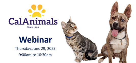 CalAnimals Increase Summer Adoptions & Return to Home