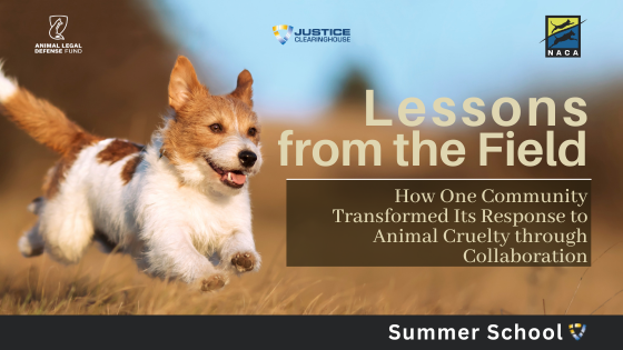 Lessons from the Field webinar