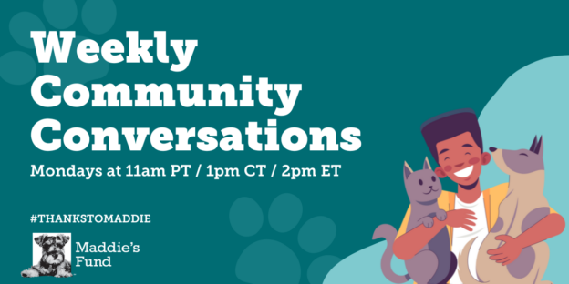 Online Meeting – Mondays – Weekly Community Conversations #ThanksToMaddie – Maddie’s Fund