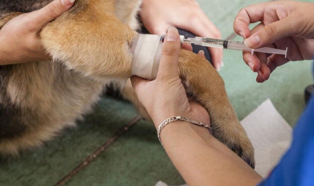 Webinar – 7/14/23 – Optimizing Anesthetic Inductions – Think Anesthesia