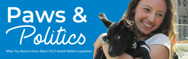 Webinar – 7/6/23 – Paws and Politics: What You Need to Know About 2023 Animal Welfare Legislation – HASS