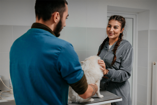 Webinar – 6/14/23 – Compassion, collaboration, and change: Exploring veterinary social work in animal services – Vancouver Humane Society