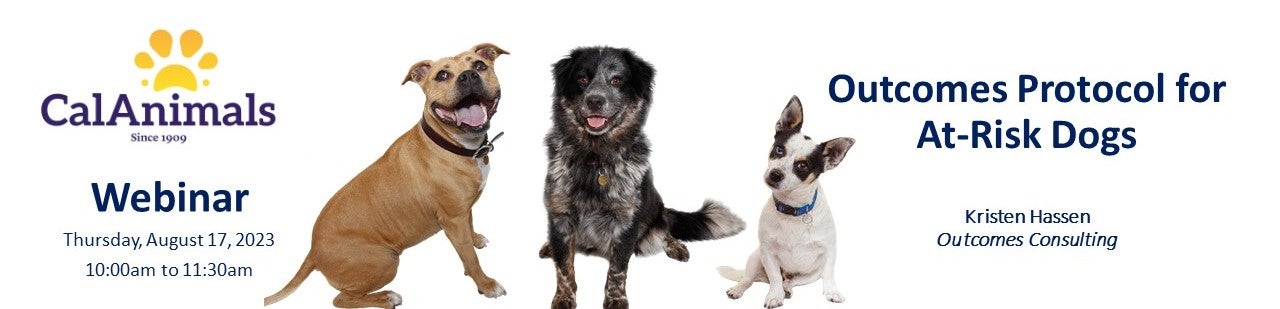 CalAnimals Outcomes Protocol for At-Risk Dogs