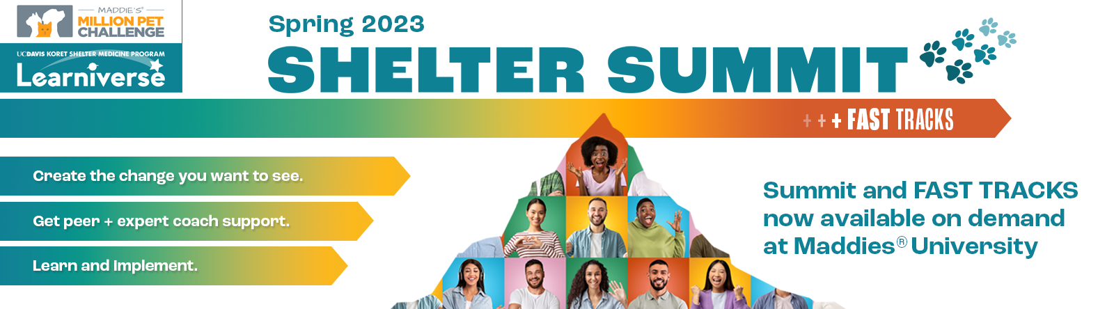 Shelter Summit and Fast Tracks are now available on demand on Maddie's University.