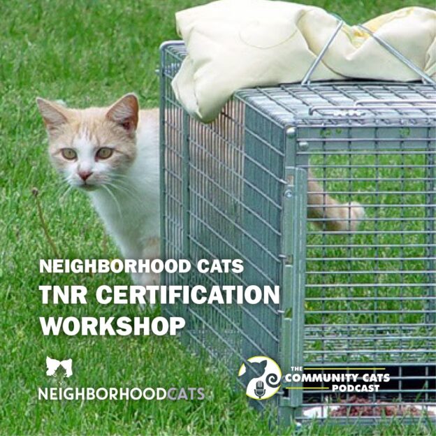 Online Course –9/9/23 – Neighborhood Cats TNR Certification Workshop – Community Cats Podcast (small fee applies)