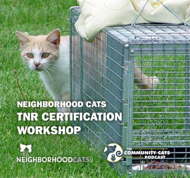 Online Event – 5/4/24 – Neighborhood Cats TNR Certification Workshop – Community Cats Podcast (small fee applies)