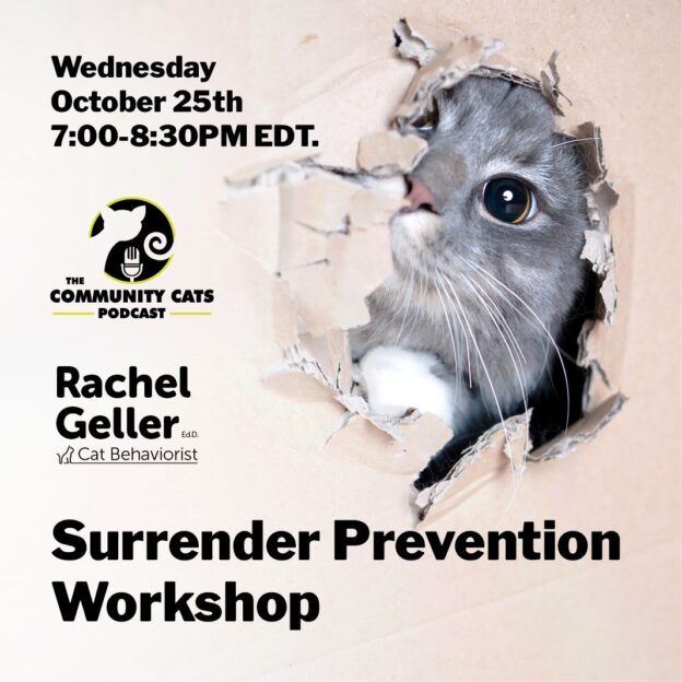 Online Course – 1/17/24 – Surrender Prevention Certification Workshop – Community Cats Podcast (small fee applies)