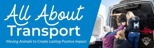 Webinar – 9/12/23 – All About Transport: Moving Animals to Create Lasting Positive Impact – HASS