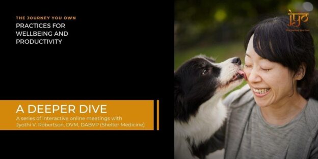 Online Event – First Wednesday – The Journey You Own: A Deeper Dive Meeting Series – Maddie’s Fund