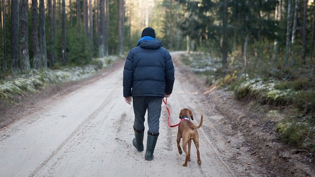 Person wearing a puffy coat takes dog for a walk outside