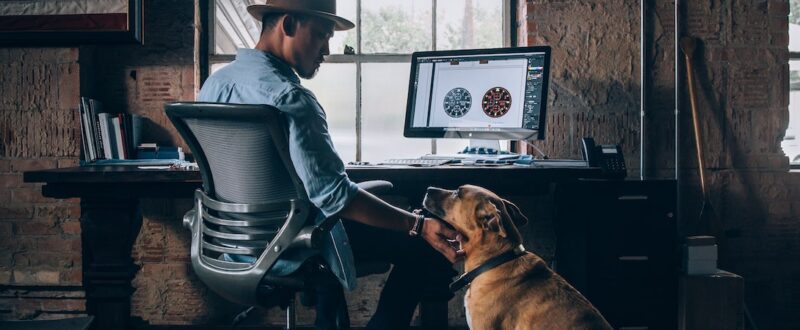 Man at computer pets dog
