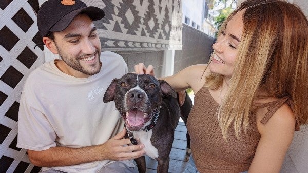 A man and woman pet a happy dog (via Best Friends)
