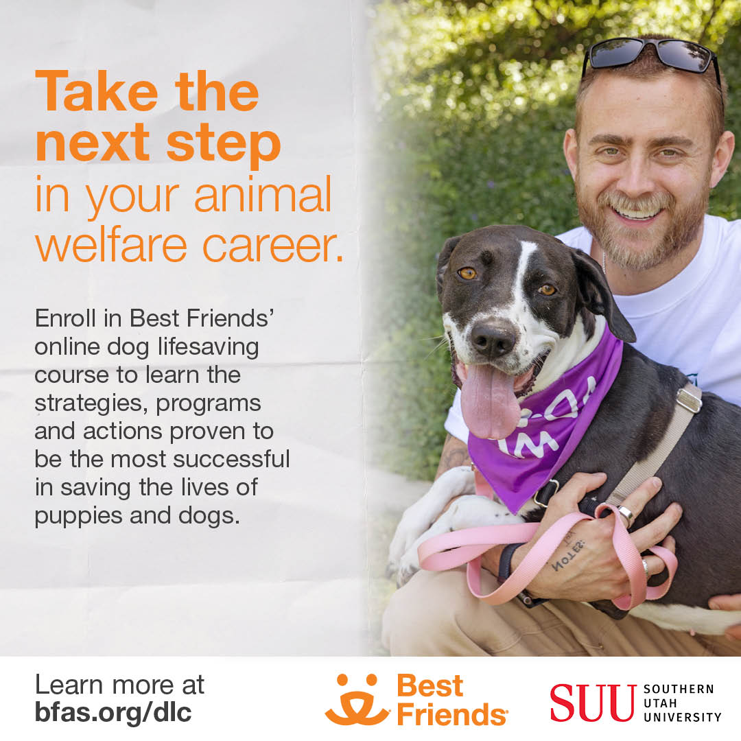 Online Course Starts 10/18/23 Dog Lifesaving Course Best Friends (fee applies