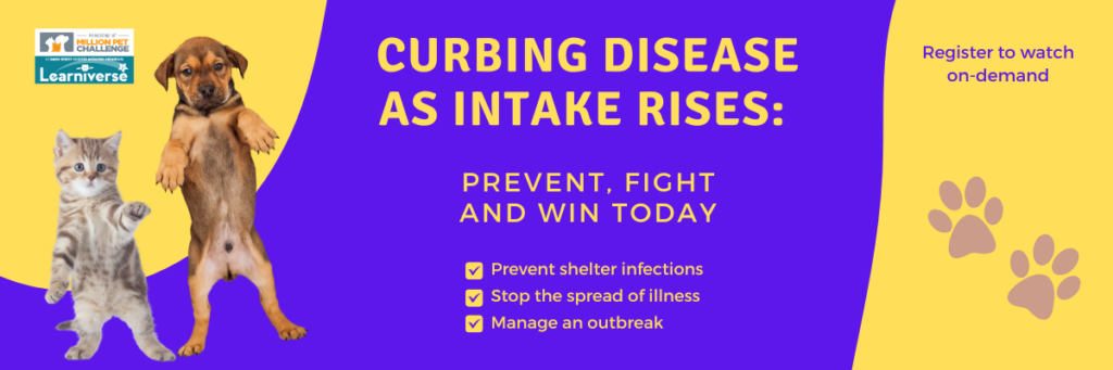 Curbing disease as intake rises - watch on-demand!