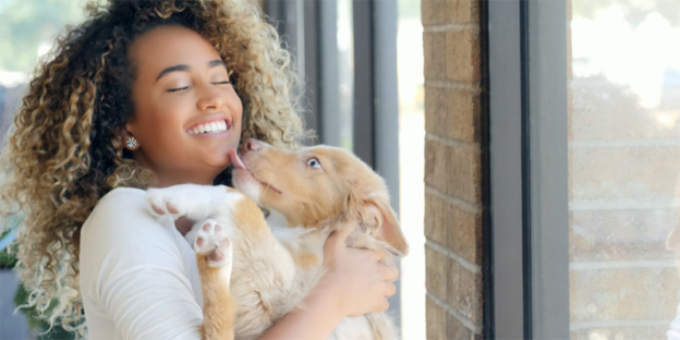 Webinar – 10/12/23 – Maddie’s Insights: Examining the Relationship Between BIPOC Communities and Their Companion Animals – Maddie’s Fund