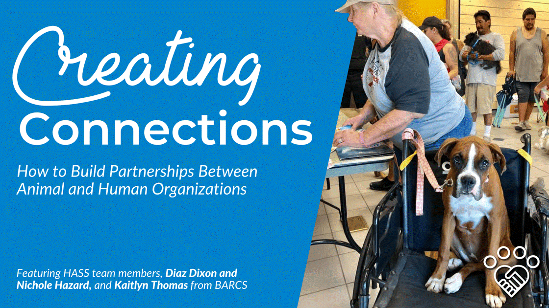 Creating Connections: How to Build Partnerships Between Animal and Human Organizations