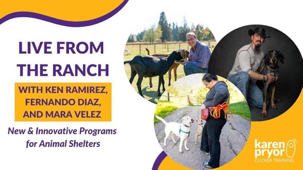Online Event – 10/5/23 – Live from the Ranch: New & Innovative Programs for Animal Shelters – Karen Pryor Academy