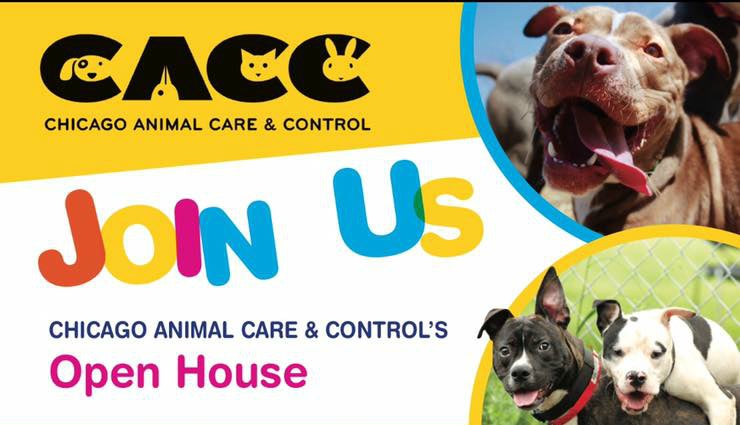 Chicago Animal Care and Control's Open House invite