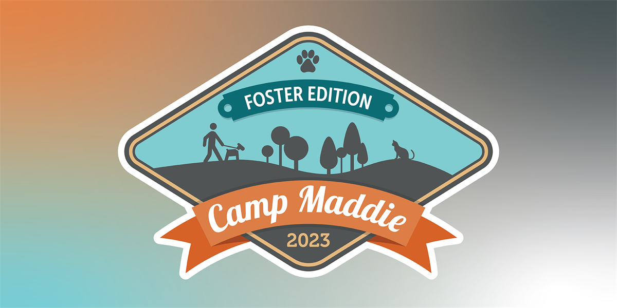 Camp Maddie: Foster Edition