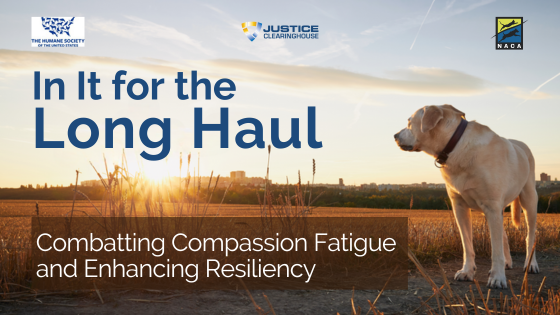 In it for the Long Haul Combating Compassion Fatigue and Enhancing Resiliency