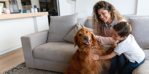 Webinar – 12/21/23 – Ask the Expert! Keeping Tenants & Their Pets Together  – Maddie’s Fund