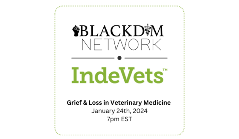 Grief & Loss in Veterinary Medicine