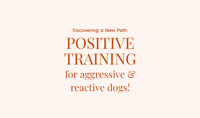Positive Training Puppyworks