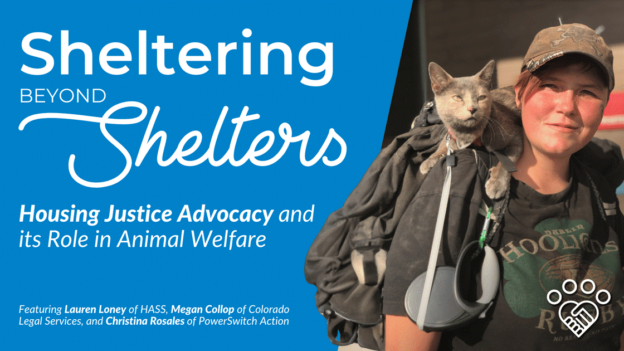Webinar – 1/11/24 – Sheltering Beyond Shelters: Housing Justice Advocacy and its Role in Animal Welfare – HASS