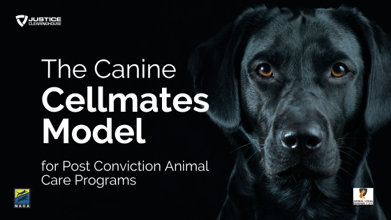 Better Futures for Animals – And With – Animals: The Canine Cellmates Model for Post-Conviction Animal Care Programs