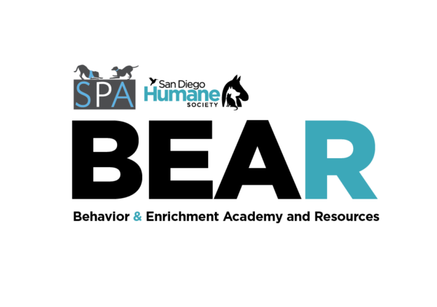 Hybrid Course – Sign-up deadline 2/1/24 – Behavior and Enrichment Academy & Resources (BEAR) – San Diego Humane Soicety