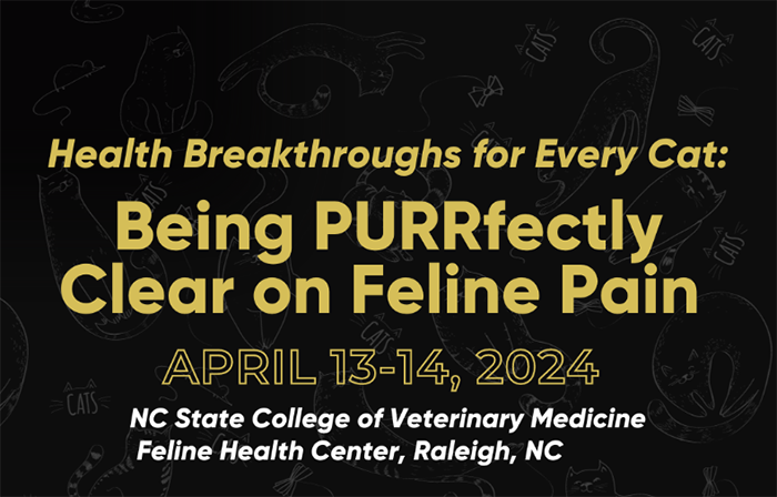 Feline Health Symposium: Being PURRfectly Clear on Feline Pain